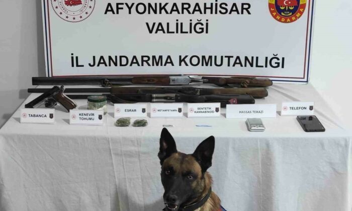 Jandarmadan uyuşturucu operasyonu