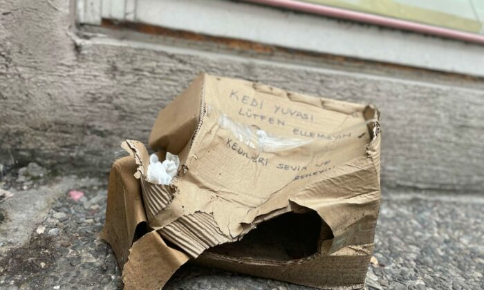 ‘Lütfen Ellemeyin’ notu da fayda etmedi: Kedi yuvası tahrip edildi