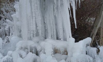 Gediz’de ağaçlarda buz sarkıtları oluştu