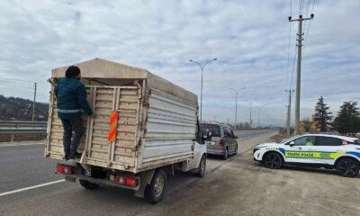 Kütahya’da hayvan hareketleri yol kontrolleri