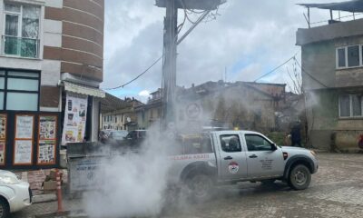 Söğüt Belediyesi’nden sinek ve larva ilaçlama atağı
