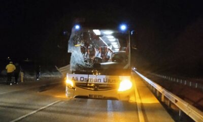 Yolcu otobüsü tıra arkadan çarptı, 6 kişi yaralandı