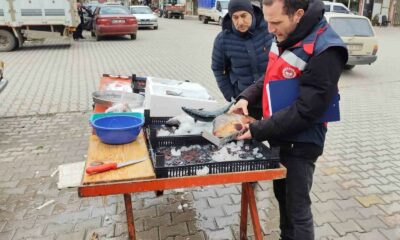 Çavdarhisar’da balık satış yeri denetimleri