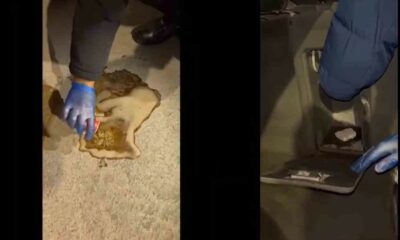Polis doğalgaz kombisi ve kolanın içinde uyuşturucu aradı
