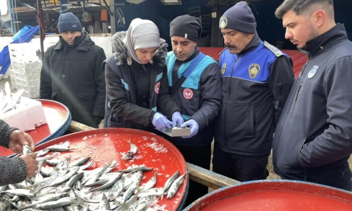 Osmaneli balık pazarında denetim