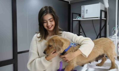 Eskişehir’de vurulan 12 yerinden yaralanan köpek hayvan severler tarafından tedavi ettirildi
