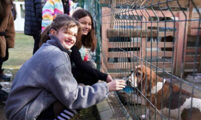 Öğrencilerden can dostlara anlamlı bağış