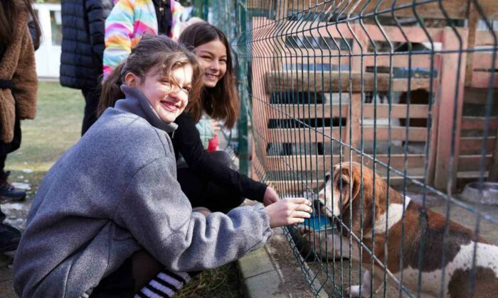 Öğrencilerden can dostlara anlamlı bağış