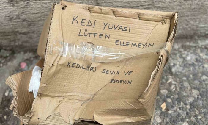 ‘Lütfen Ellemeyin’ notu da fayda etmedi: Kedi yuvası tahrip edildi