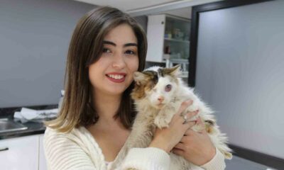 Yaralı kedi tek gözüyle hayvan severler sayesinde hayata tutundu