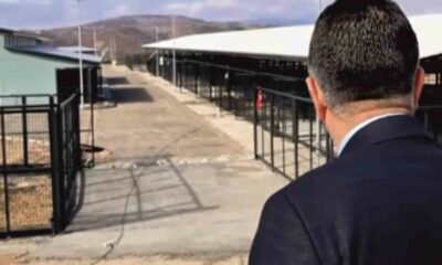 Bölgesel hayvan barınağı yakın zamanda hizmete başlayacak