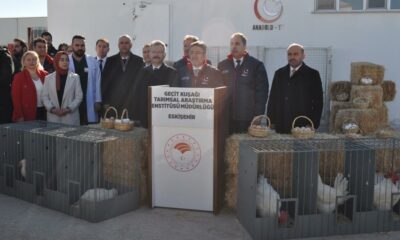 Bakan Yumaklı, Eskişehir’deki tarımsal faaliyetleri yerinde inceledi