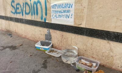 Eskişehir’de ‘Hayvanların mamalarını çalmayın!’ uyarısı