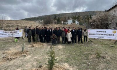 Seyitgazi’de 700 fidan toprakla buluştu