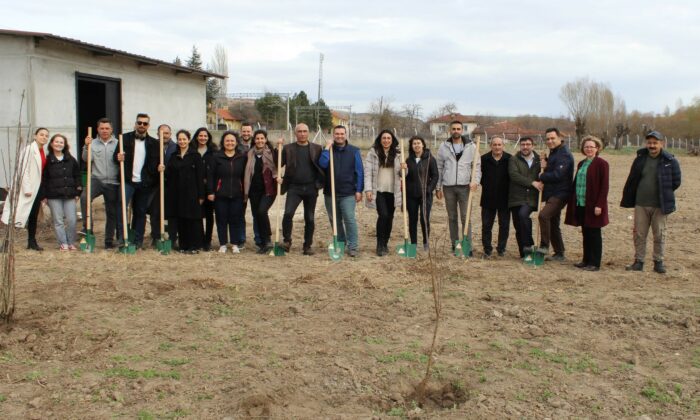 Yükümlüler 10 çeşit 250 meyve fidanı toprakla buluşturdu