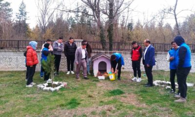 Hisarcık’ta sokak hayvanları için mama bırakıldı