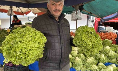 Plansız üretim ve fiyatlardaki değişkenlik pazarcıyı zor durumda bırakıyor