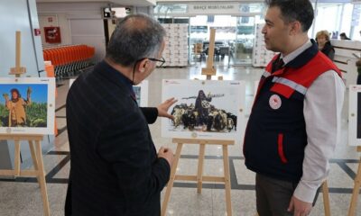 Orman ve insan fotoğraflarla anlatıldı