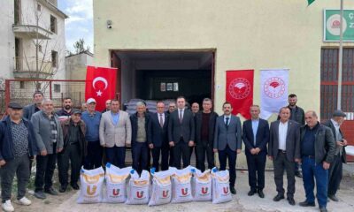 Çavdarhisar’da çiftçilere yüzde 50 hibeli 19 bin 825 kilo nohut tohumu dağıtıldı