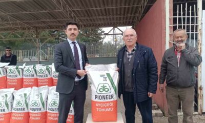 Çiftçiye yüzde 50 hibeli ayçiçeği tohumu