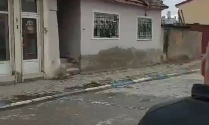 Çatıda kızıl geyiği görenler neye uğradığını şaşırdı