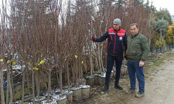 Fidan satış noktalarında denetim