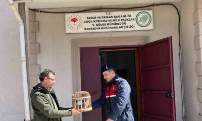 Kaçak avlanmaya geçit yok