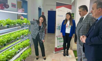 Anaokulunda topraksız tarım, ilk hasat yapıldı