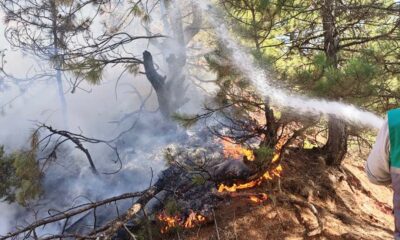 Hisarcık’ta orman yangını