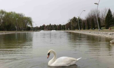 Eskişehirliler güzel havanın tadını çıkardı