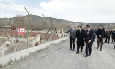 Vali Işın ve Başkan Kahveci sokak hayvanları için oluşturulan doğal yaşam alanını inceledi