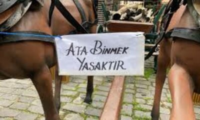 Eskişehir’deki “Ata binmek yasaktır” uyarısı dikkat çekiyor