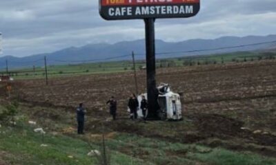 Totem tabelasına çarpan otomobil sürücüsü yaşamını yitirdi