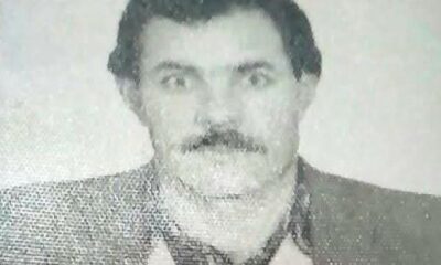 Ağaçtan düşen yaşlı adam hayatını kaybetti