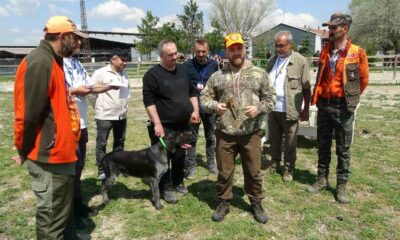 Kütahya’da Fermalı Av Köpekleri Mera Yarışması düzenlendi