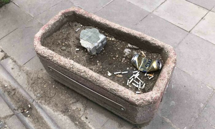 Vatandaşlar ceza ödememek için çözümü saksıda buldu