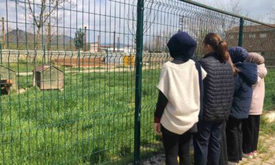 İmam hatip öğrencileri E-twinning projesi kapsamında hayvan barınağını ziyaret etti