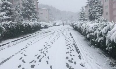 Bilecik’teki kar bazı köy yollarını ulaşıma kapattı