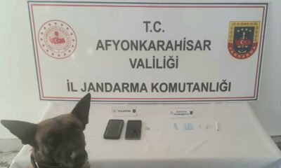 Jandarmadan uyuşturucu operasyonu: 2 gözaltı