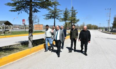 İlçe girişini sağlayan bulvar ve caddeler yenilenecek