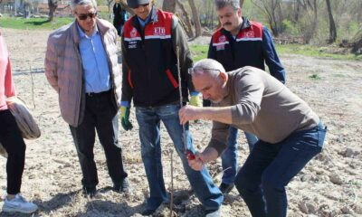 Yükümlüler ile meyve fidanlarında dikim budaması eğitimi yapıldı