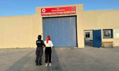 Dolandırıcılık suçundan aranan şahsı jandarma yakaladı