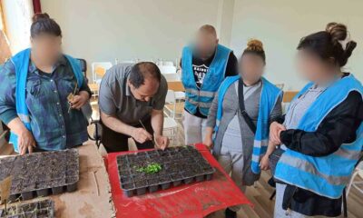 Yükümlülerin ektiği tohumlardan çıkacak ürünler ihtiyaç sahiplerine dağıtılacak
