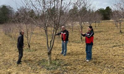 Kütahya Tarım ve Orman İl Müdürlüğü’nden çiftçilere monilya hastalığı uyarısı