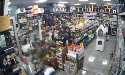 Motosiklet kadın sürücüsü ile birlikte petshop mağazasının camından içeriye daldı