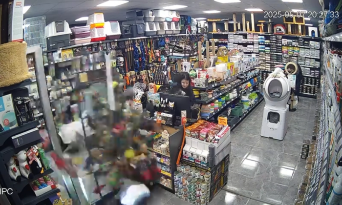 Motosiklet kadın sürücüsü ile birlikte petshop mağazasının camından içeriye daldı