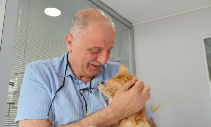 Kedisini veterinere yetiştirmeye çalışırken trafik cezası yedi, itiraz etti