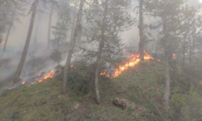Afyonkarahisar’da orman yangını