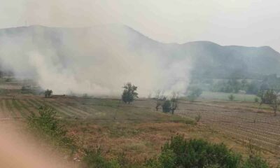 Osmaneli’de anız yangını söndürüldü