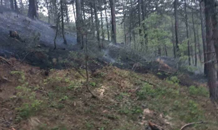 Afyonkarahisar’da orman yangını